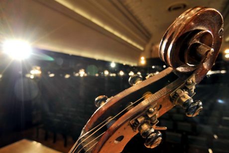 Der Kopf eines Streichinstruments in Nahaufnahme