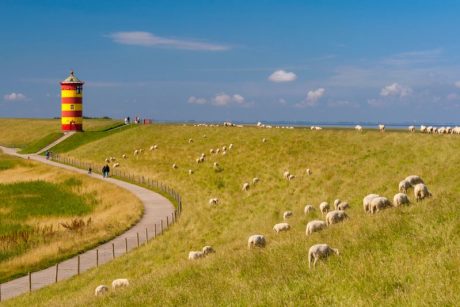 Ein Deich mit einem Leuchtturm und vielen Schafen