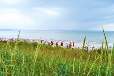 Strandkörbe am Ostseestrand, im Vordergrund grüne WIese