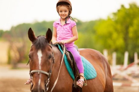 Ein Mädchen auf einem braunen Pferd. Sie trägt einen Helm