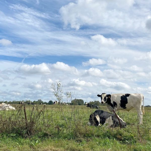 Hude-Wüsting - Ferien auf dem Lande