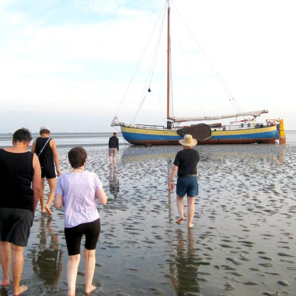 Segelreise - Abenteuer auf dem Wattenmeer