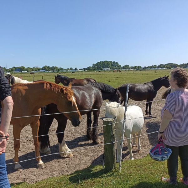 Büsum - Urlaub mit Pferden an der Nordsee