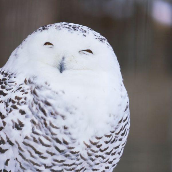 Ausflug in den Tiergarten Ludwigslust