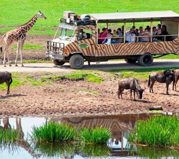 Serengetipark in Hodenhagen