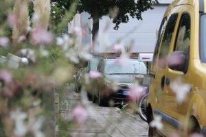 a-cas2 - Kopie a-cas2 - Kopie